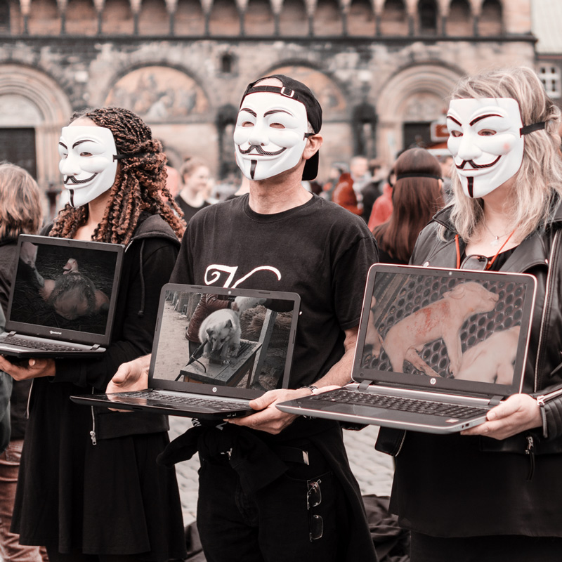 Demonstration Bremen